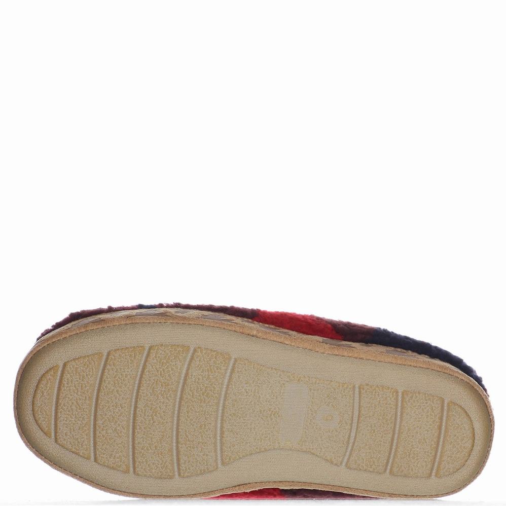 Pajar Calia Slippers Dames Gekleurd | ZMC1466NW