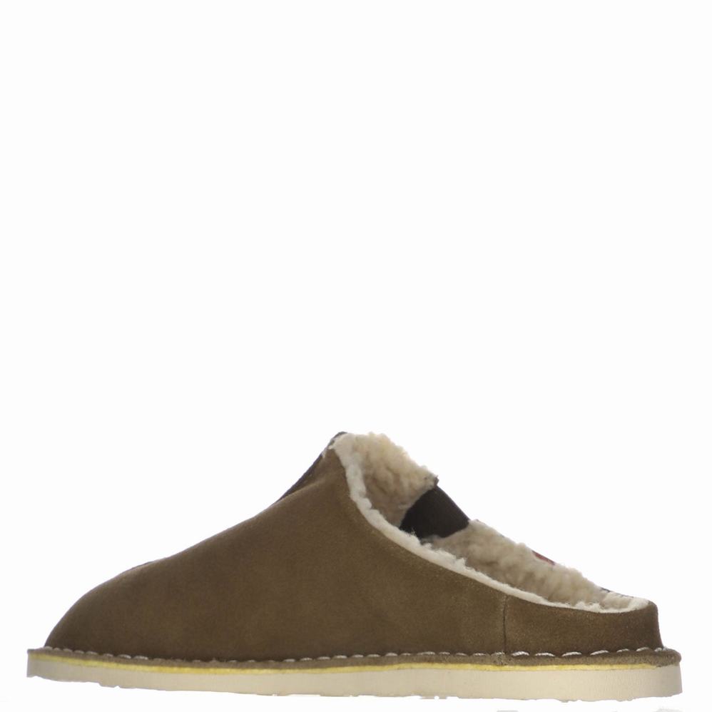 Pajar Muller Slippers Heren Olijfgroen | QVF7840YS