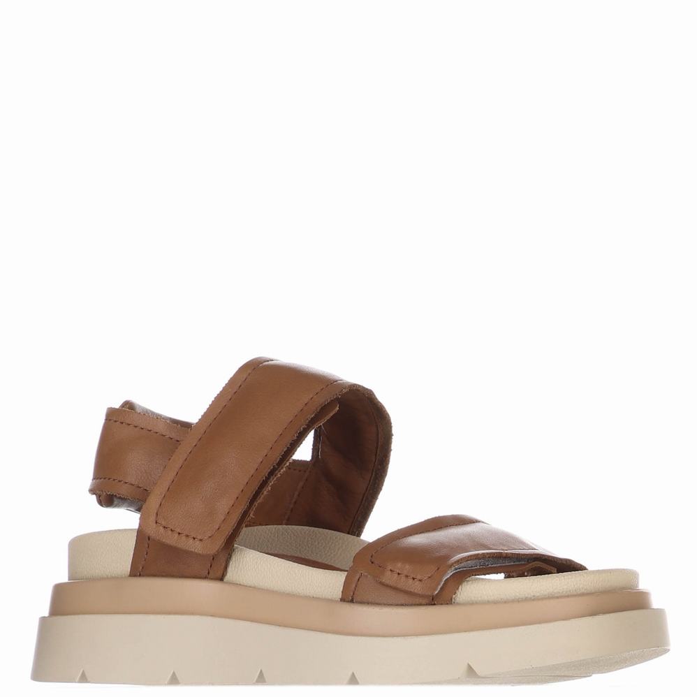 Pajar Stana Sandalen Dames Bruin | TVB9083IW