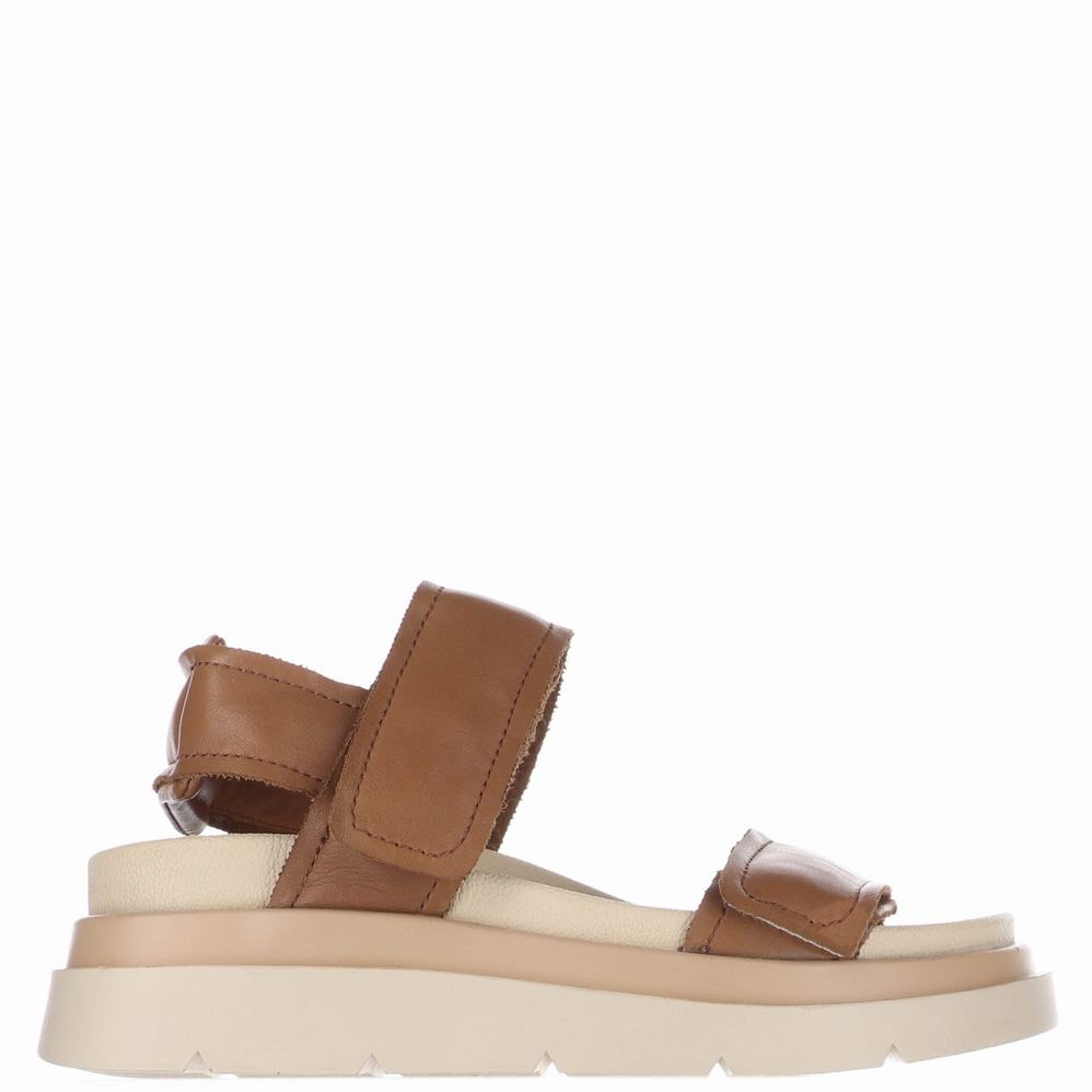 Pajar Stana Sandalen Dames Bruin | TVB9083IW