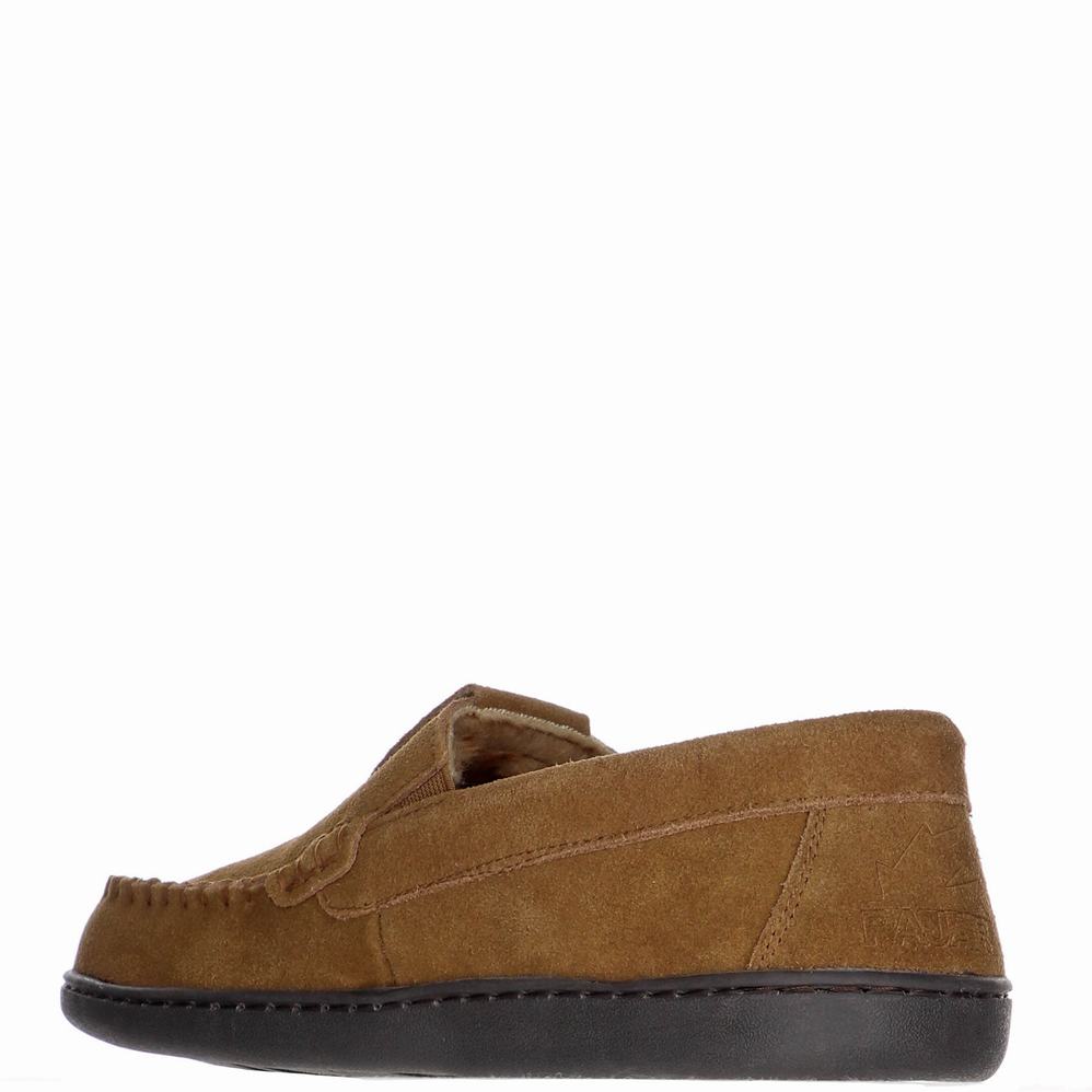 Pajar Veneto Slippers Heren Bruin | TDK4627UH